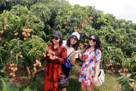 Provincia de Bac Giang busca formas para maximizar el potencial turístico