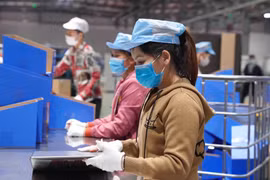 Suministrarán libreta electrónica de trabajo a millones de empleados vietnamitas