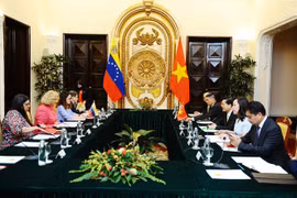 Promueven relaciones comerciales y de inversión entre Vietnam y Venezuela