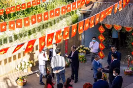 Radio australiano ABC destaca el significado del Tet tradicional de Vietnam 