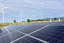 Foro de Energía Limpia de Vietnam proyecta hacia la neutralidad de carbono 