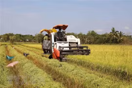 Experto de Malasia evalúa perspectivas de cooperación de su país con Vietnam
