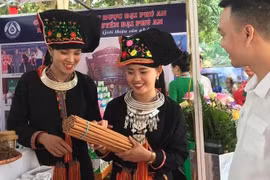 Promueven marca de canela del distrito vietnamita de Van Yen