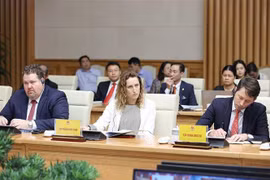 Empresas de IED resaltan logros socioeconómicos de Vietnam