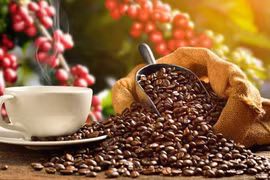 Aumentan exportaciones vietnamitas de café a Japón