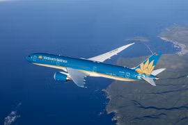 Japón arresta a sospechoso que amenazó con derribar avión de Vietnam Airlines