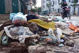Ciudad Ho Chi Minh refuerza la gestión y reducción de residuos plásticos