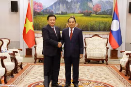 Director de la Academia Política Nacional de Ho Chi Minh realiza visita a Laos