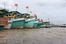 Localidad vietnamita adopta diversas medidas para lucha contra la IUU