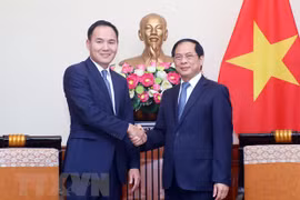 Vietnam y Mongolia realizan décima reunión de consulta política