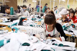 Celebrarán exposición internacional de sector textil en Vietnam 