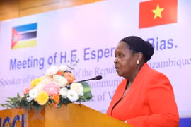 Mozambique - puerta de entrada para empresas vietnamitas al mercado surafricano