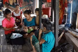 Debaten medidas para mejorar atención de salud materna e infantil en Vietnam
