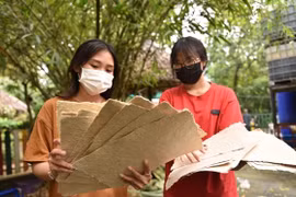 Zoológico de Ciudad Ho Chi Minh produce papel ecológico a partir de estiércol de elefantes
