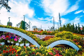 Efectuarán en Vietnam IX Festival de flores Da Lat a finales de 2022