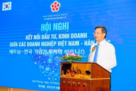 Hai Phong reitera compromiso de crear entorno justo y favorable para inversores extranjeros