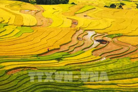 Vote por el turismo de Vietnam en Premio Mundial de Viajes 2022 