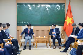 Vietnam y Japón fortalecen cooperación interprovincial