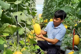 Provincia vietnamita de Ninh Thuan dedica fondo millonario a reducción de pobreza sostenible