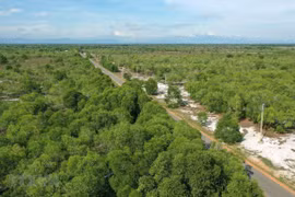 Bosques cubren el 42,02% de superficie total de Vietnam