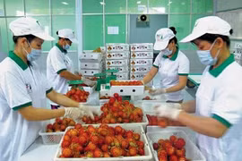 Exportación vietnamita a Nueva Zelanda por expandirse