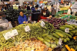 IPC de Vietnam aumenta 3,02 por ciento en 11 meses 