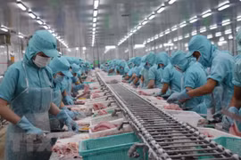 Buscan aumentar exportaciones de productos alimentarios de Vietnam a África 