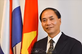 Promueven más nexos de asociación integral entre Vietnam y Países Bajos 