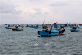 Instan a provincia vietnamita de Thanh Hoa a impulsar lucha contra pesca ilegal