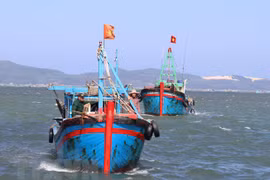 Provincia vietnamita apunta a cumplir medidas contra pesca ilegal