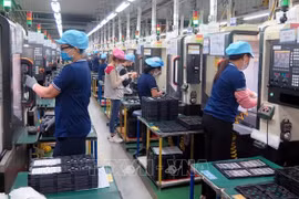 Trabajan por perfeccionar políticas y leyes sobre negocios responsables en Vietnam