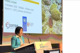 Vietnam promueve diplomacia ambiental y climática en Ginebra