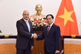 Promueven Vietnam cooperación multifacética con Egipto