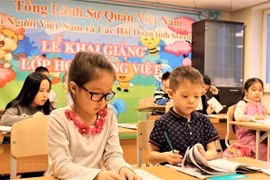 Inauguran curso de formación en enseñanza del idioma vietnamita en el extranjero