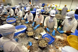 Promueven intercambio comercial entre Vietnam y Sudáfrica