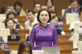 Parlamento vietnamita aprueba Ley de Implementación de la Democracia de Base