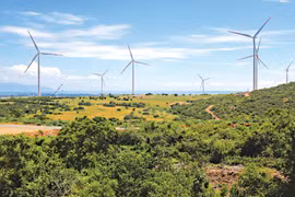 Vietnam, “destino verde” de inversionistas de Bélgica
