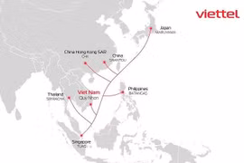 Viettel pondrá en operación nuevo cable submarino de fibra óptica en 2023