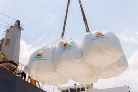 Empresa vietnamita recibe pedidos para exportar 400 mil toneladas de arroz a la UE