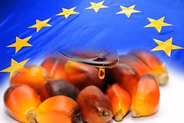 ASEAN y UE promueven cooperación en industria de aceite de palma