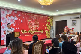 Programa Primavera en la tierra natal conecta a vietnamitas en ultramar