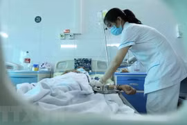 Hanoi registra 19 brotes de dengue
