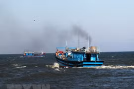 Pescadores vietnamitas dicen “No” a la pesca ilegal 