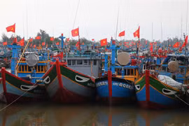 Provincia vietnamita promueve cambio en conciencia para luchar contra la pesca ilegal