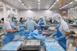 Provincia de An Giang apunta a 5,3 mil millones de dólares en exportaciones en 2025