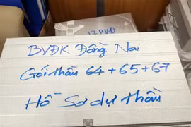 Iniciarán en diciembre juicio contra acusados de caso de violación de ley de licitación en Vietnam
