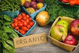 Vietnam y Dinamarca fortalecen cooperación en producción y gestión de productos orgánicos