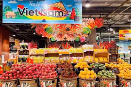 Trabajan por promover cooperación económica Vietnam-Tailandia