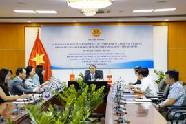 Potencial de crecimiento comercial Vietnam-Perú sigue siendo muy grande 