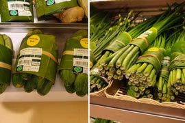 Vietnam se esfuerza por eliminar residuos plásticos